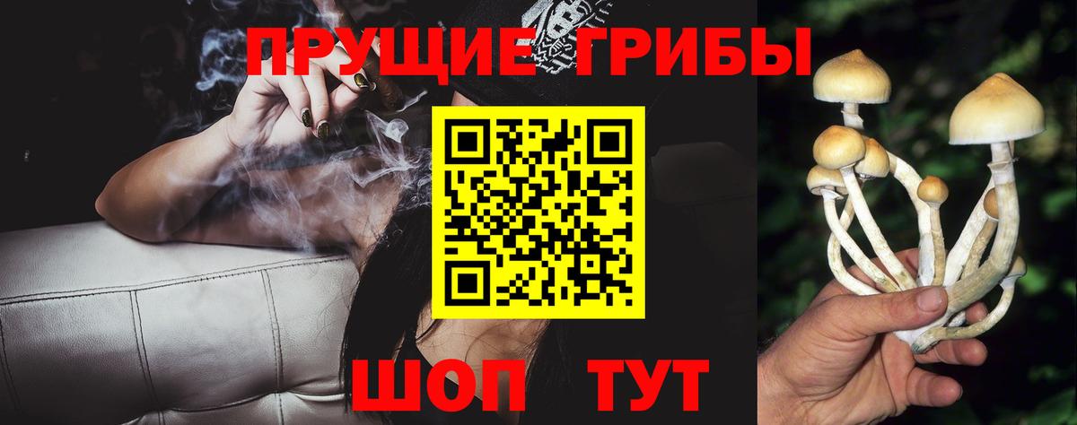 Элиста  Галлюциногенные грибы Magic Shrooms  Вход с VPN 